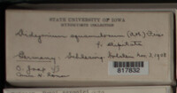 Image Associated With the Occurence